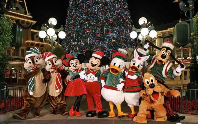 Disney Christmas Costume2